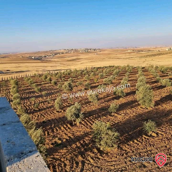 أرض زراعية مساحة 25 دونم للبيع في الكرك - فقوع