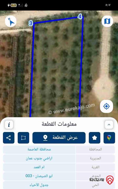 ارض مساحة 2 دونم للبيع في عمان - ام العمد 