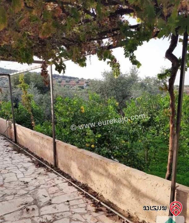 مزرعة زيتون مساحة الأرض 8 دونم و 588م و البناء مساحة 100م للبيع في السلط