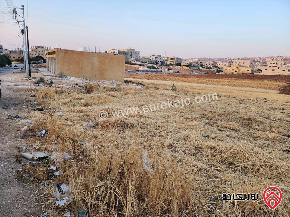 قطعة أرض سكنية مساحة 520م للبيع في عين الباشا حي المضمار