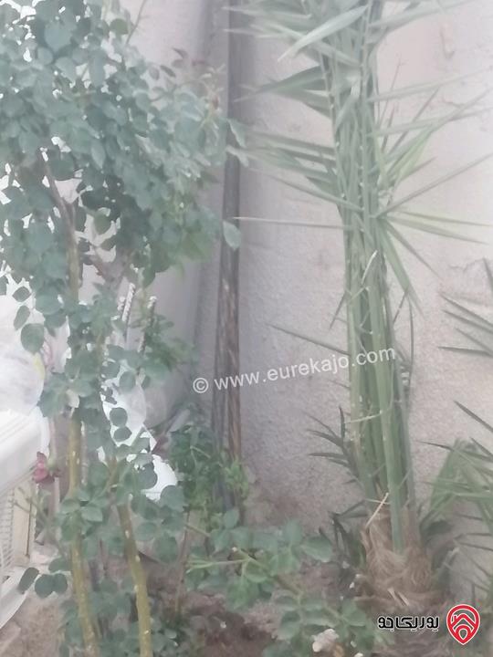 بيت مكون من شقتين على أرض 340م للبيع في المفرق الخالديه