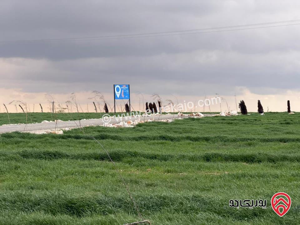 اراضي سكنية مساحة 1 دونم و 700م للبيع في عمان - مقابل مطار الملكة علياء من المالك مباشرة 