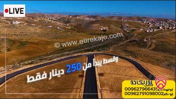 قطعة ارض مساحة 500م للبيع في جريبا - الزرقاء 