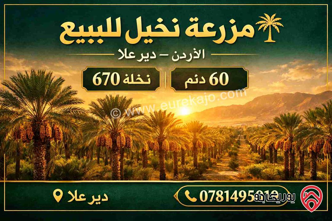 مزرعة مساحة 60 دونم للبيع في البلقاء - دير علا