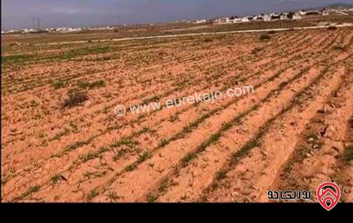 أرض مساحة 15 دونم و 529م للبيع في المفرق - أراضي البادية الشمالية منطقة قاسم