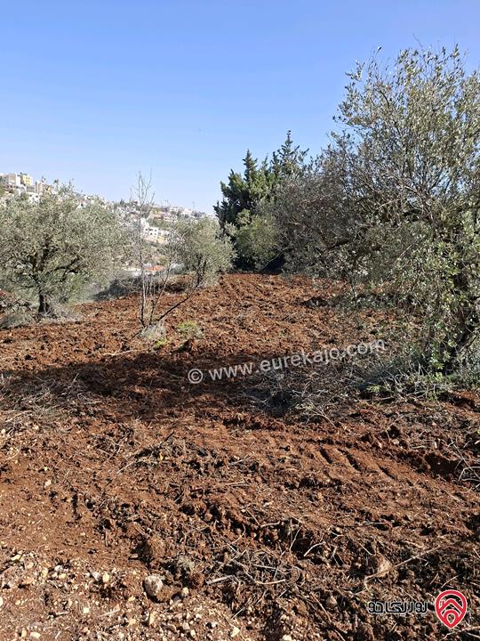 قطعة أرض مساحة 1 دونم للبيع في السلط - سوادة الشمالي