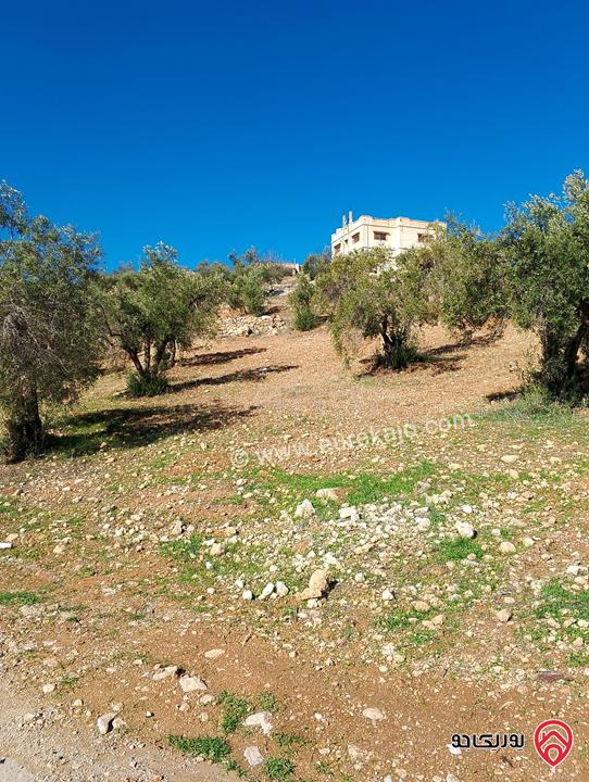 أرض مساحة 500م للبيع في الزرقاء - بيرين 