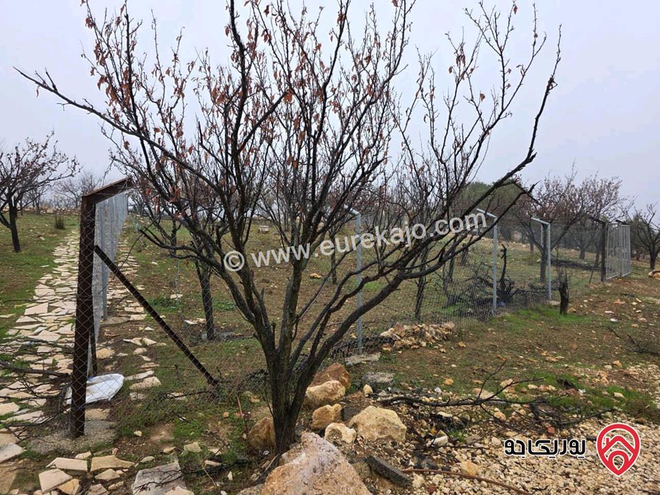 أرض مساحة 750م للبيع في عمان - ناعور