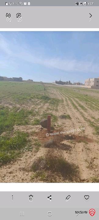 أرض مساحة 1465م للبيع في المفرق 