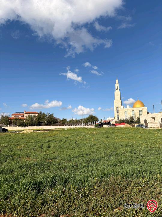 أرض مميزة مساحة 514م للبيع في عمان - الطنيب