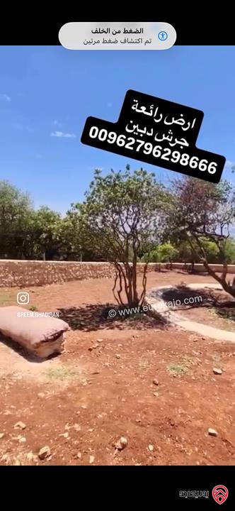 قطعة ارض مميزة مسساحة 2 دونم للبيع اراضي جرش دبين 