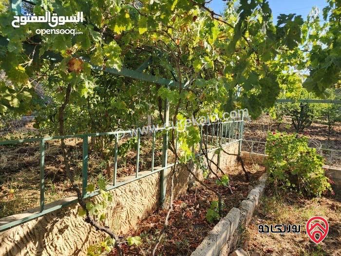 مزرعة مساحة الأرض 2 دونم و 491م للبيع بمنطقة  السلط - زيّ 
