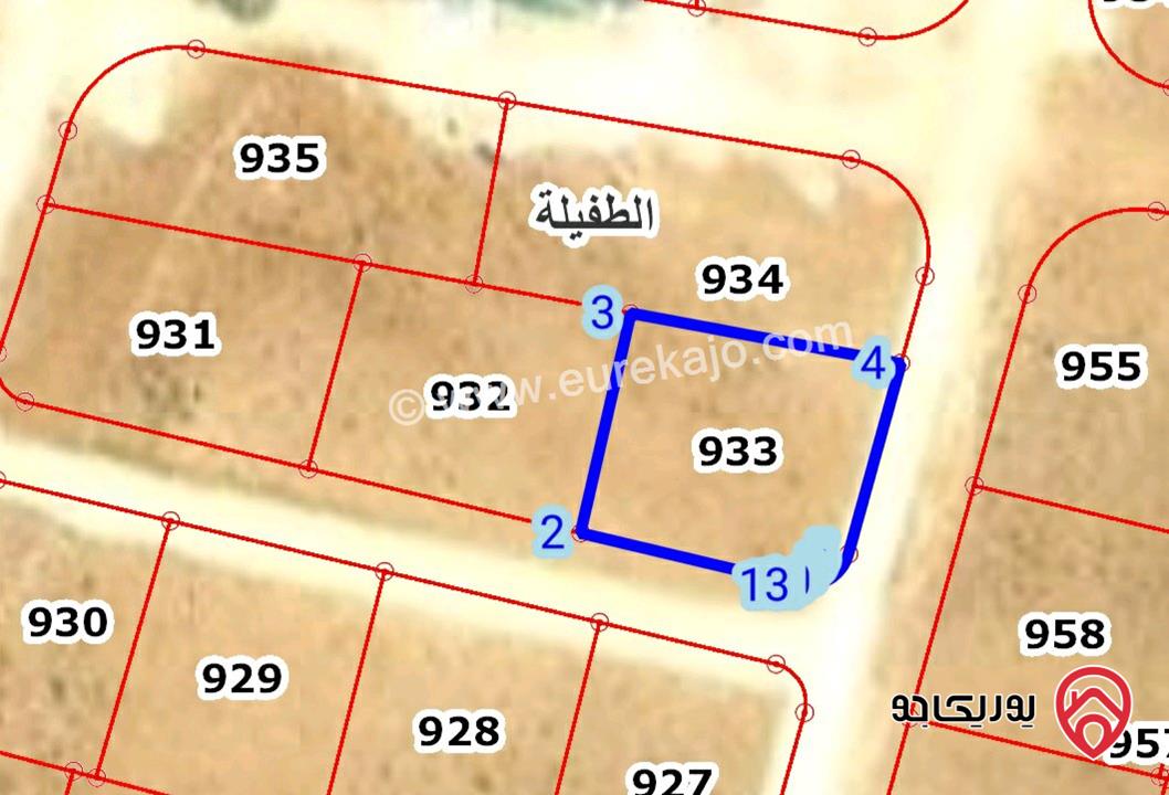 ارض مساحة 585م للبيع في الطفيلة العيص 