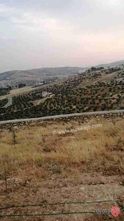 مزرعة مساحة 3400م للبيع في شرق جرش منطقة شاليهات عالية ومطلة