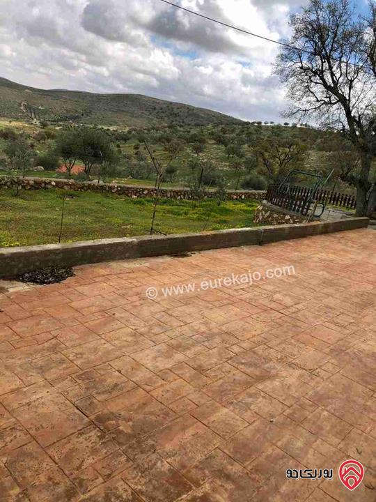 مزرعة مساحة دونم للبيع في الزرقاء - صروت 