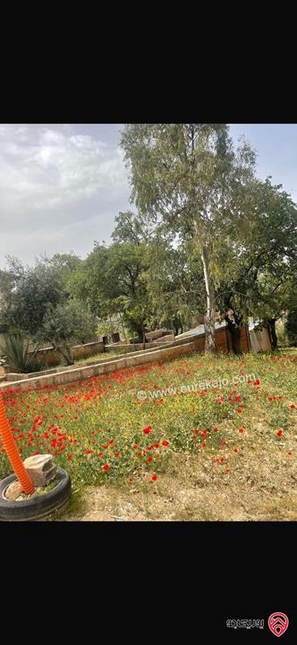 مزرعة مساحة الأرض 10 دونم والبناء 500م للبيع في عمان - منطقة وادي السير البصة ام الخنازير 