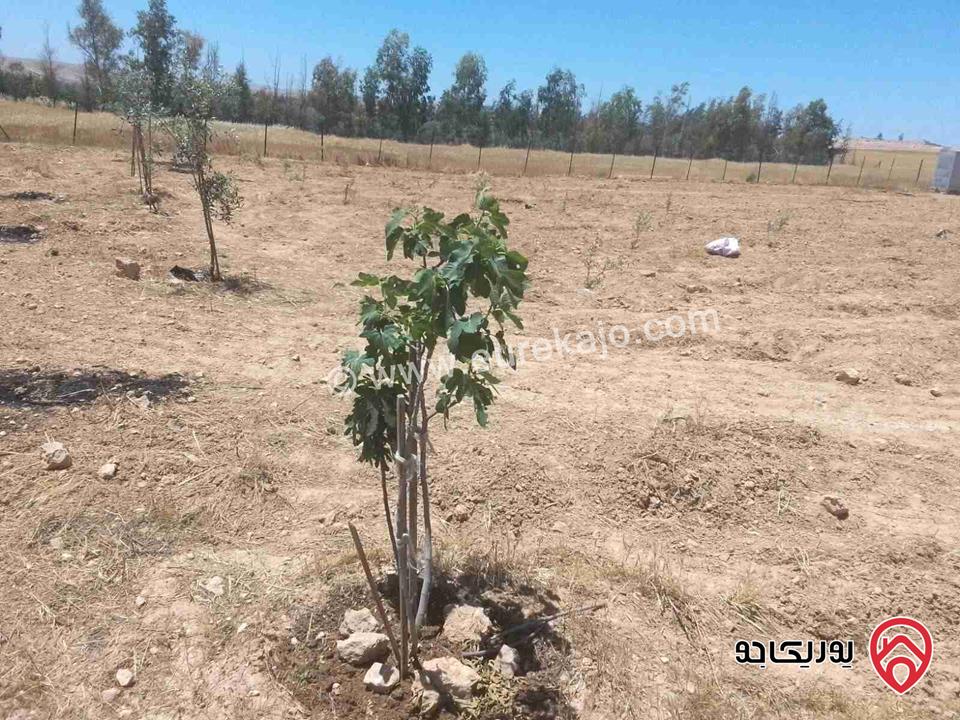 قطع أراضي عدد 5 مساحة كل قطعة 700م للبيع من اراضي جنوب عمان - المشتى
