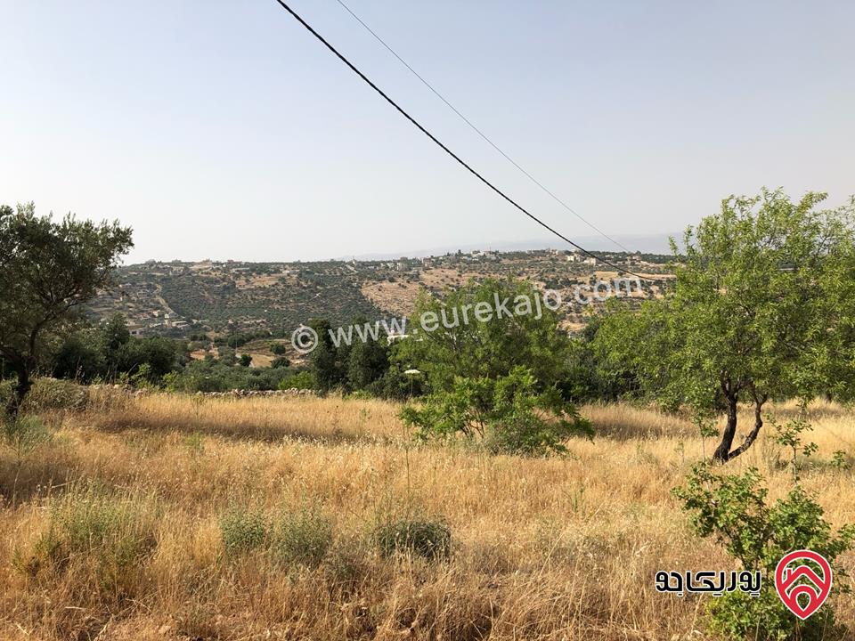 قطع أراضي عدد 5 مساحة كل قطعة 1 دونم سكن أ للبيع في السلط دعم الغزالات