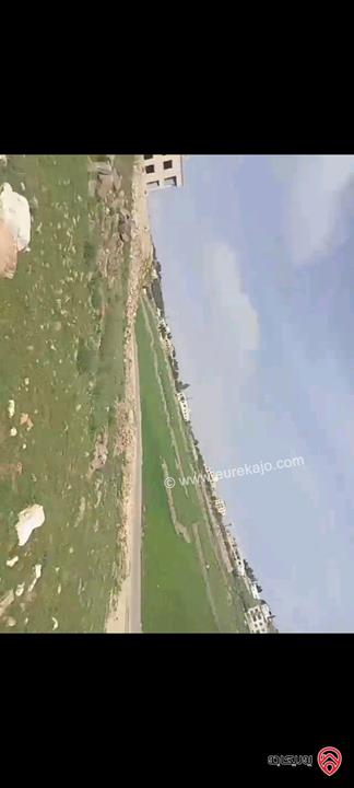 أرض مساحة 1 دونم للبيع في السلط ابو الهركاب 