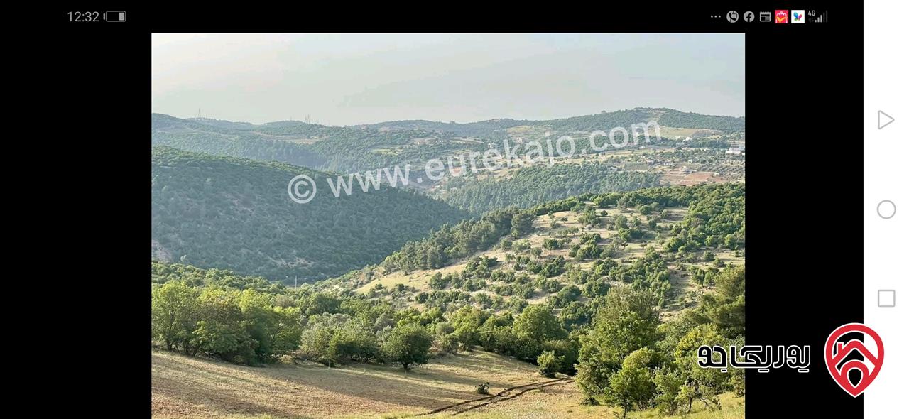 قطعة ارض مساحة 36 دونم للبيع في عجلون