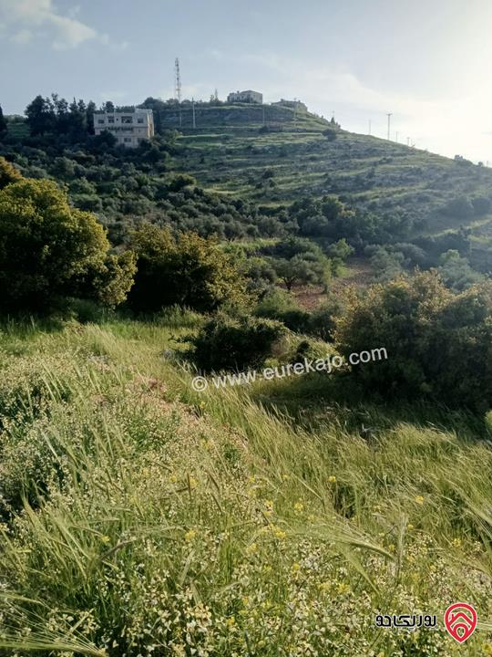 قطعة ارض سكنية مساحة 1 دونم و 145م للبيع في السلط