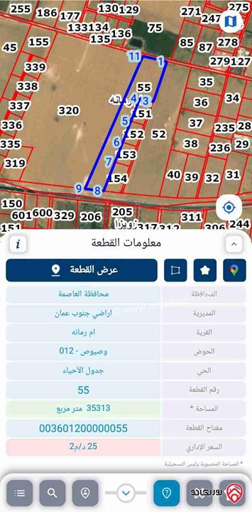 قطعة ارض مساحة 17 دونم للبيع من أراضي جنوب عمان - أم رمانه فقط 19 الف دينار 