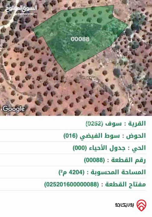 قطعة أرض مساحة 4 دونم و 204م للبيع في جرش - سوف