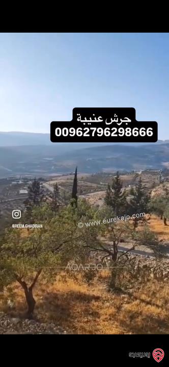 قطعة ارض استثمارية مساحة 3 دونم و 400م للبيع في جرش عنيبة