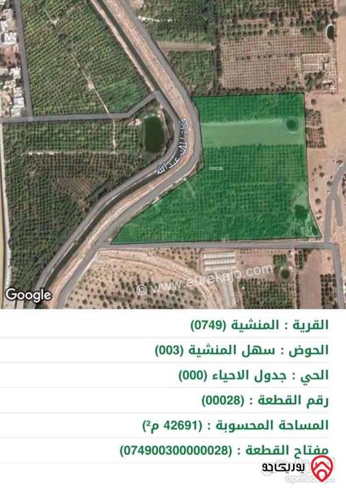مزرعة مساحة 22 دونم  مزروعة حمضيات للبيع في الأغوار الشمالية المنشية