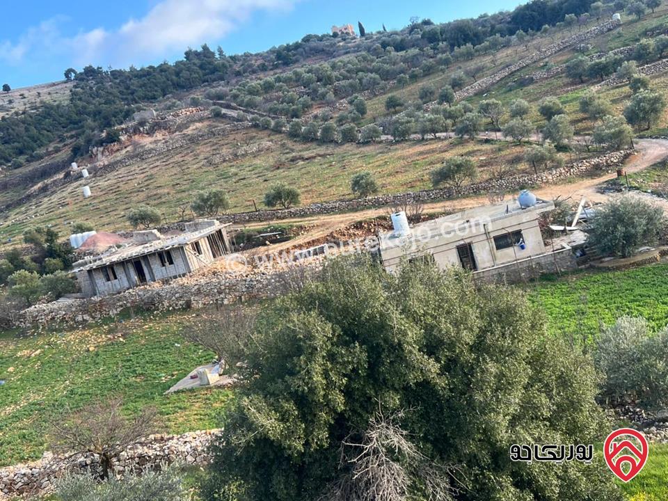 ارض مساحة 1 دونم و 982م للبيع في عجلون عنجرة سرابيس