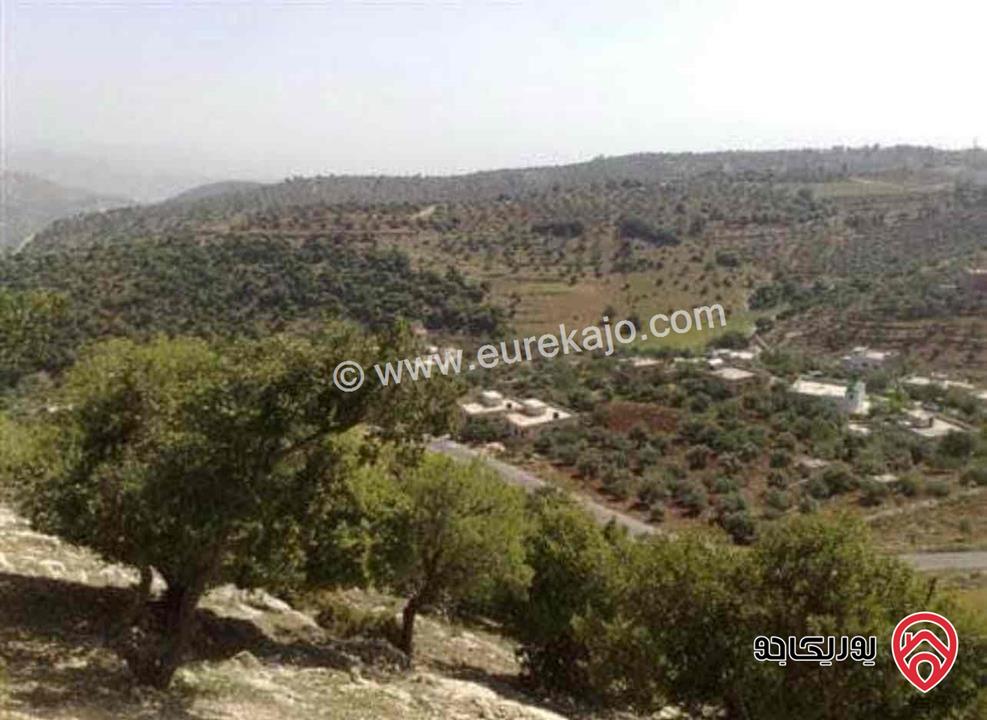 ارض مساحة 791م للبيع في عمان - بدر الجديدة تبعد 6 دقائق عن دوار خلدا