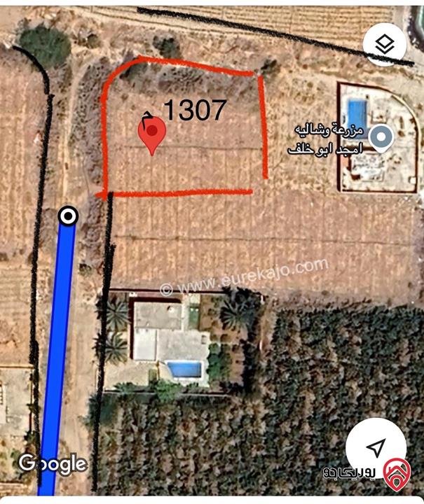 قطعة ارض مفروزة مساحة 1307م للبيع من أراضي الشونة الجنوبية في الاغوار من المالك 