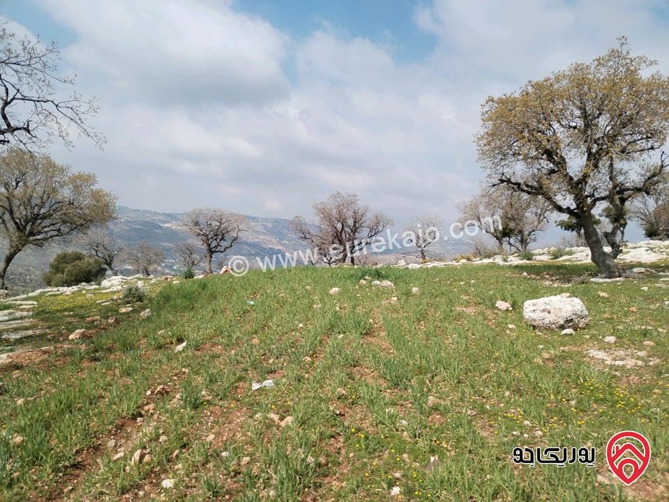 قطعة ارض مساحة 4 دونم للبيع في ماحص مطلة على جبال السلط وجبال فلسطين