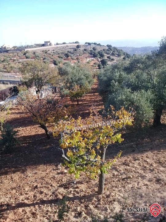 مزرعة مساحة الأرض 16 دونم للبيع في جرش - سوف