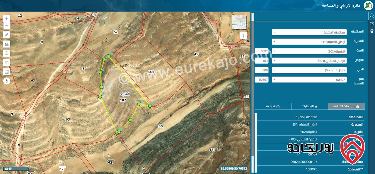 ارض مساحة 10 دونم للبيع في الطفيلة حوض الزقنان الشمالي من اراضي الطفيلة