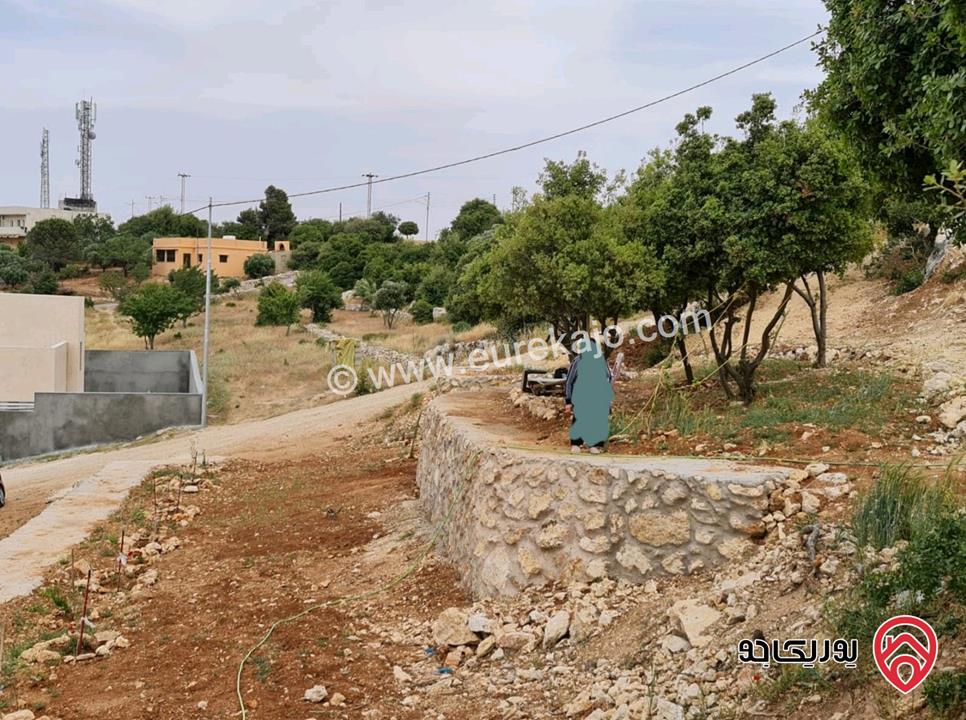 ارض مساحة 1 دونم للبيع في السلط - ام جوزة