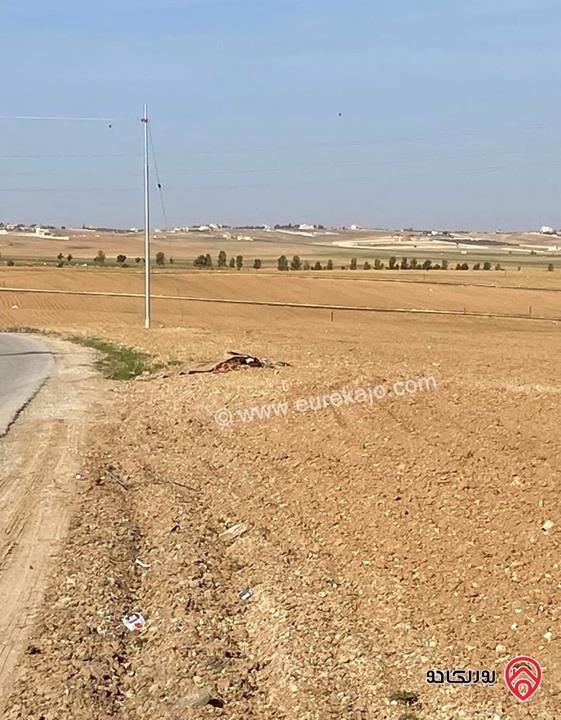 قطعة ارض مساحة 3 دونم و 400م للبيع من أراضي جنوب عمان - ام قصير/ الجيزة
