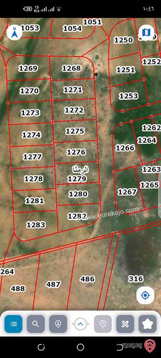 قطع متجاورة مساحة 12 دونم و 554م للبيع في اربد من اراضي الرمثا / الرميث