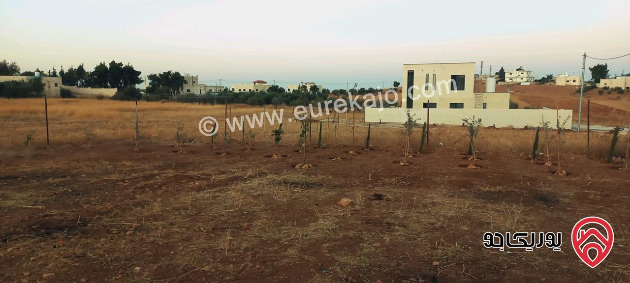 قطعة أرض مساحة 700م للبيع في المفرق