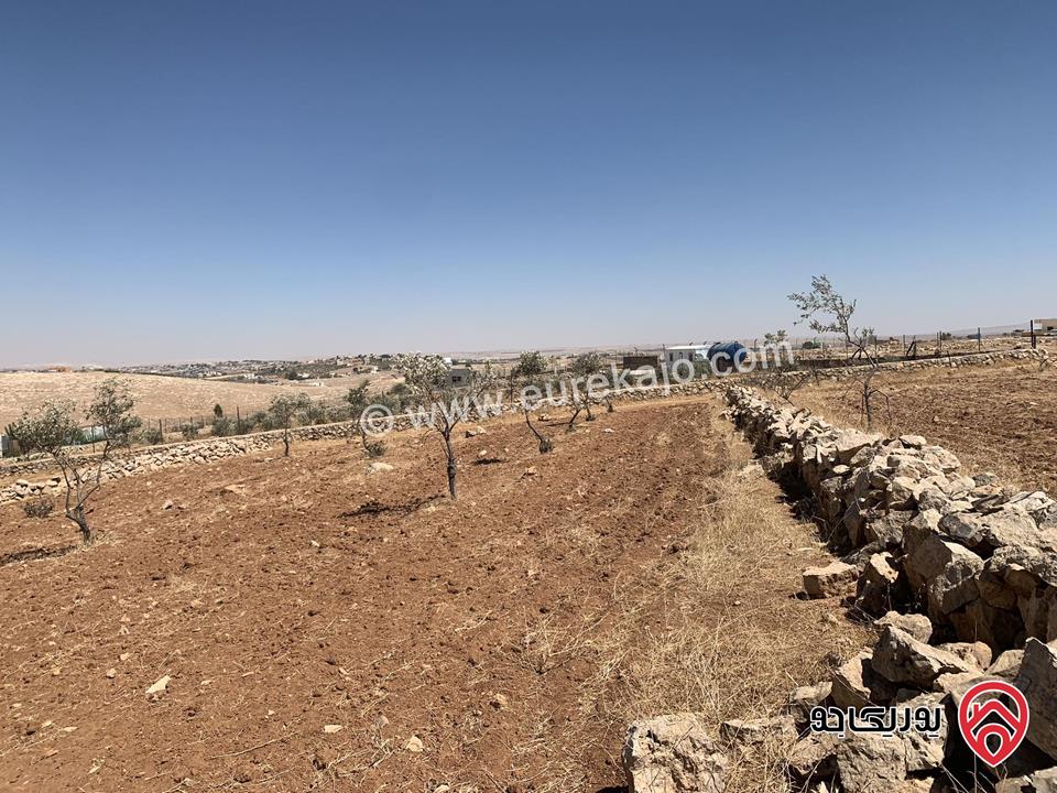 قطعة ارض مساحة 9 دونم للبيع في منطقة مادبا - لب