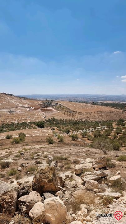 قطعة أرض مساحة 2 دونم و 892م للبيع من أراضي بني كنانة اربد - في سما الروسان