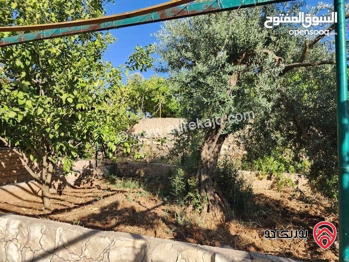 مزرعة مساحة الأرض 2 دونم و 491م للبيع بمنطقة  السلط - زيّ 