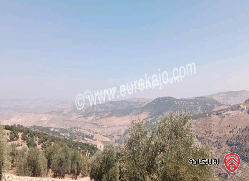 قطع أراضي زراعية مساحة 3 دونم / 4 دونم للبيع في السلط الزعتري سعر الدونم 37 الف