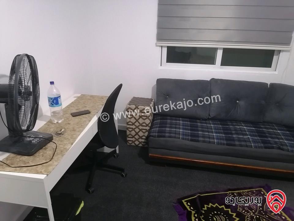 شقق مفروشة للايجار في اربد شارع الجامعة 