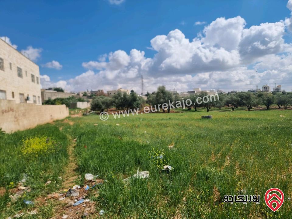 أرض مساحة 501م للبيع في عمان - الجويدة من المالك
