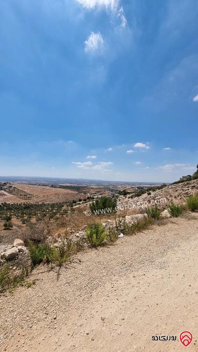 قطعة أرض مساحة 2 دونم و 892م للبيع من أراضي بني كنانة اربد - في سما الروسان