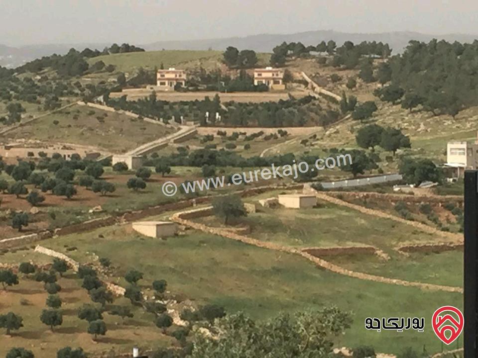 مزرعة مساحة الأرض 4 دونم و 500م والبناء 125م للبيع في جرش - الكتة