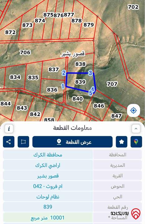 ارض مساحة 10 دونم للبيع في الكرك - القصر