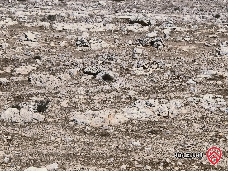 قطعة أرض مساحة 6 دونم و 172م للبيع في إربد لواء المزار الشمالي قرية صمد