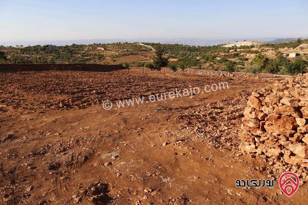 أرض زراعية مساحة 3 دونم و 402م للبيع في أعلى قمم جبال جرش مثمرة، مخدومة، ومحيطة بمشاريع وشاليهات جاهزة للاستثمار